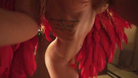 sunshine_______ free recording from 