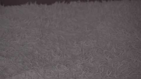 _lovelyen free recording from 