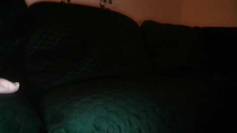 bigdicktrannynicole free recording from 