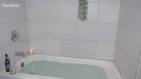 hexivu free recording from 