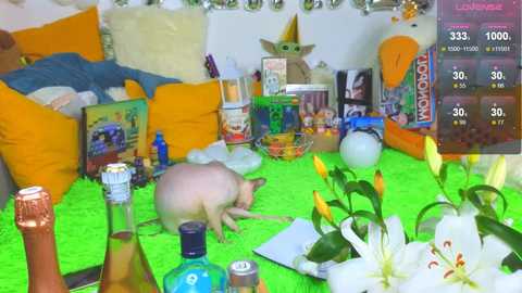 landel_boy free recording from 