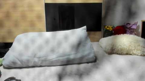 angell6969 free recording from 