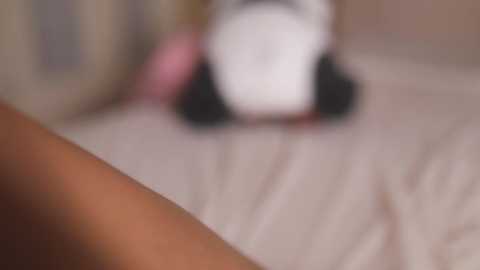 suzysuza free recording from 