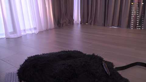 blissdilley free recording from 