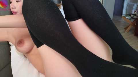 swt_shadow free recording from 